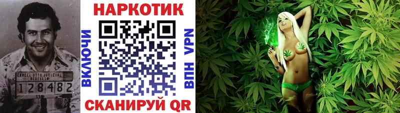 Виды наркотиков купить Лесозаводск ГАШИШ  КОКАИН  Мефедрон  Alpha-PVP  Галлюциногенные грибы  Каннабис 