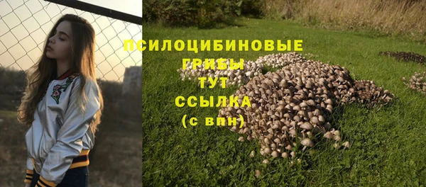 jwh Новокубанск
