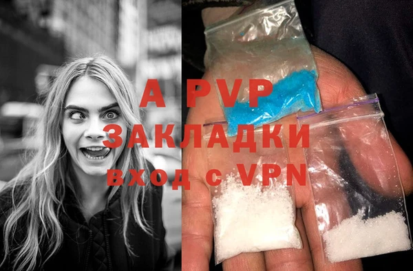 PSILOCYBIN Комсомольск