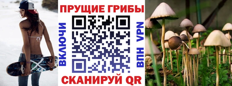 Галлюциногенные грибы ЛСД Лесозаводск
