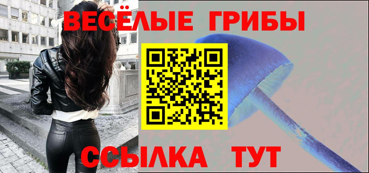 Псилоцибиновые грибы Cubensis Лесозаводск